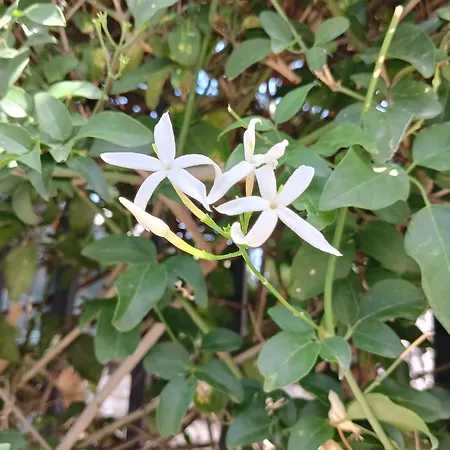 Green54blu Accommodatie bij particulieren Bari